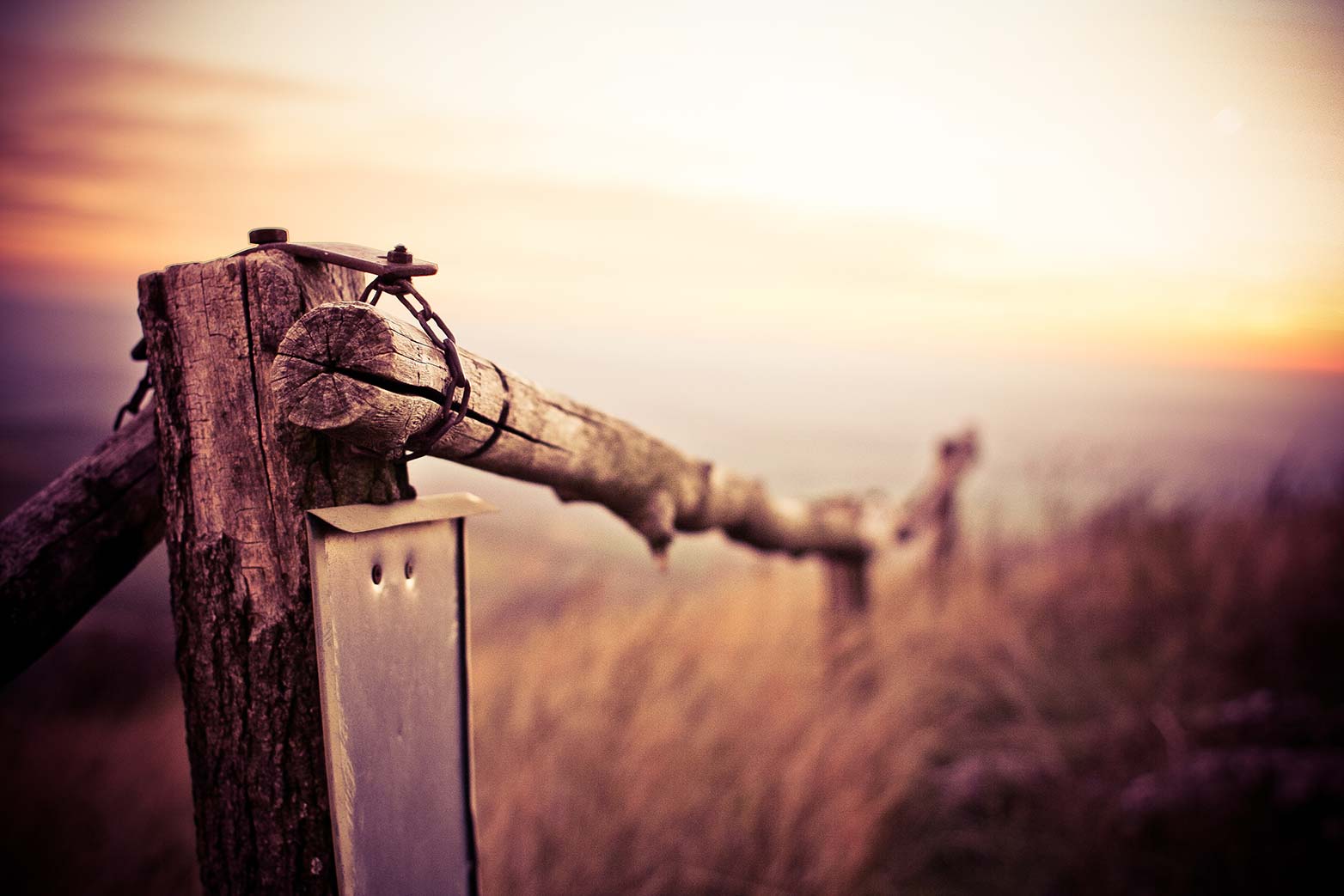 Free download: Royalty free stock images from Picjumbo picjumbo.com_IMG_3130