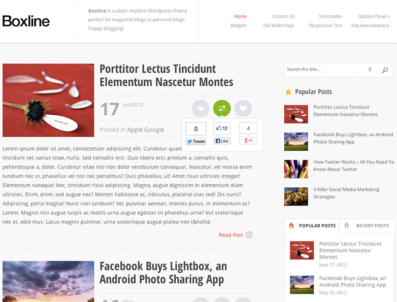Giveaway: Win 1 of 20 Premium WordPress Themes from MyThemeShop boxline