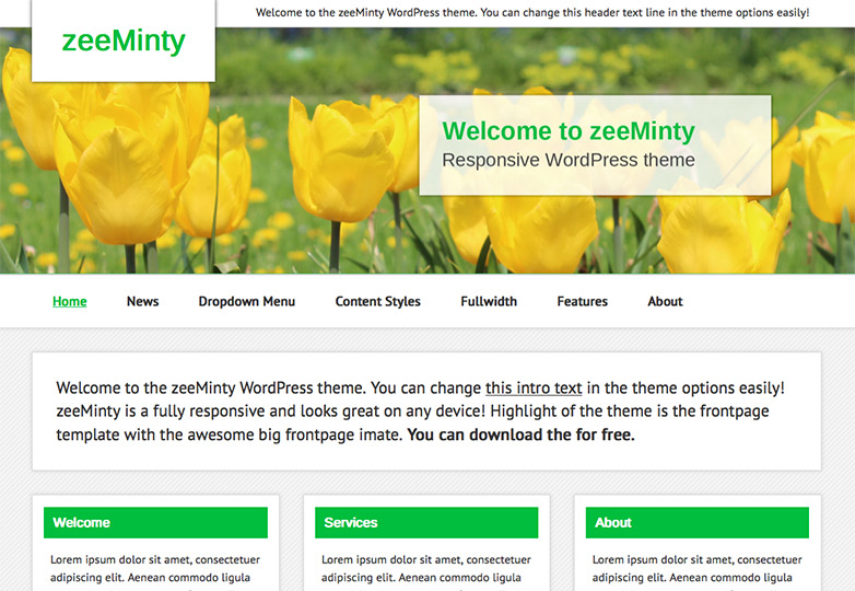 zeeMinty
