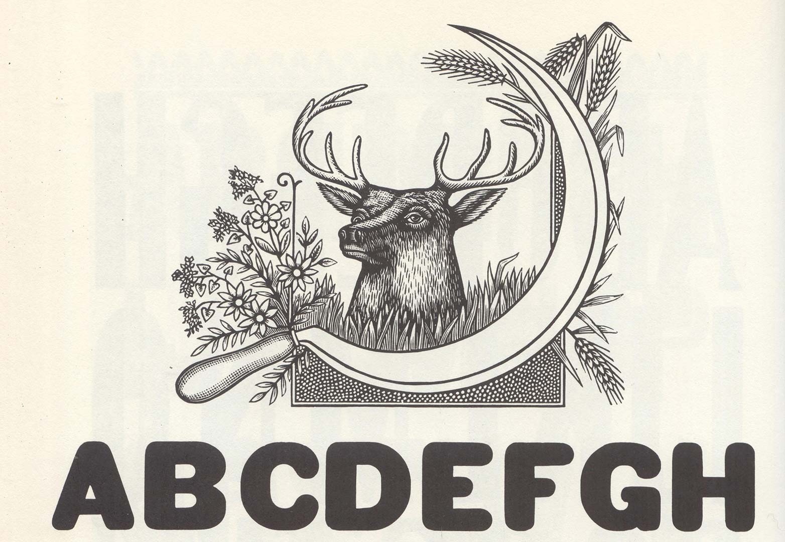 80+ free wood type alphabets wt_002