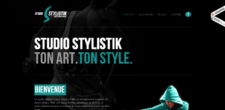 20 beautiful monochromatic sites studiostylistik