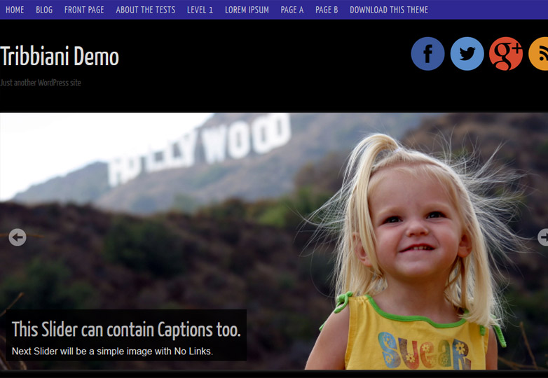 Our favorite free WordPress themes, October 2013 tribbiani