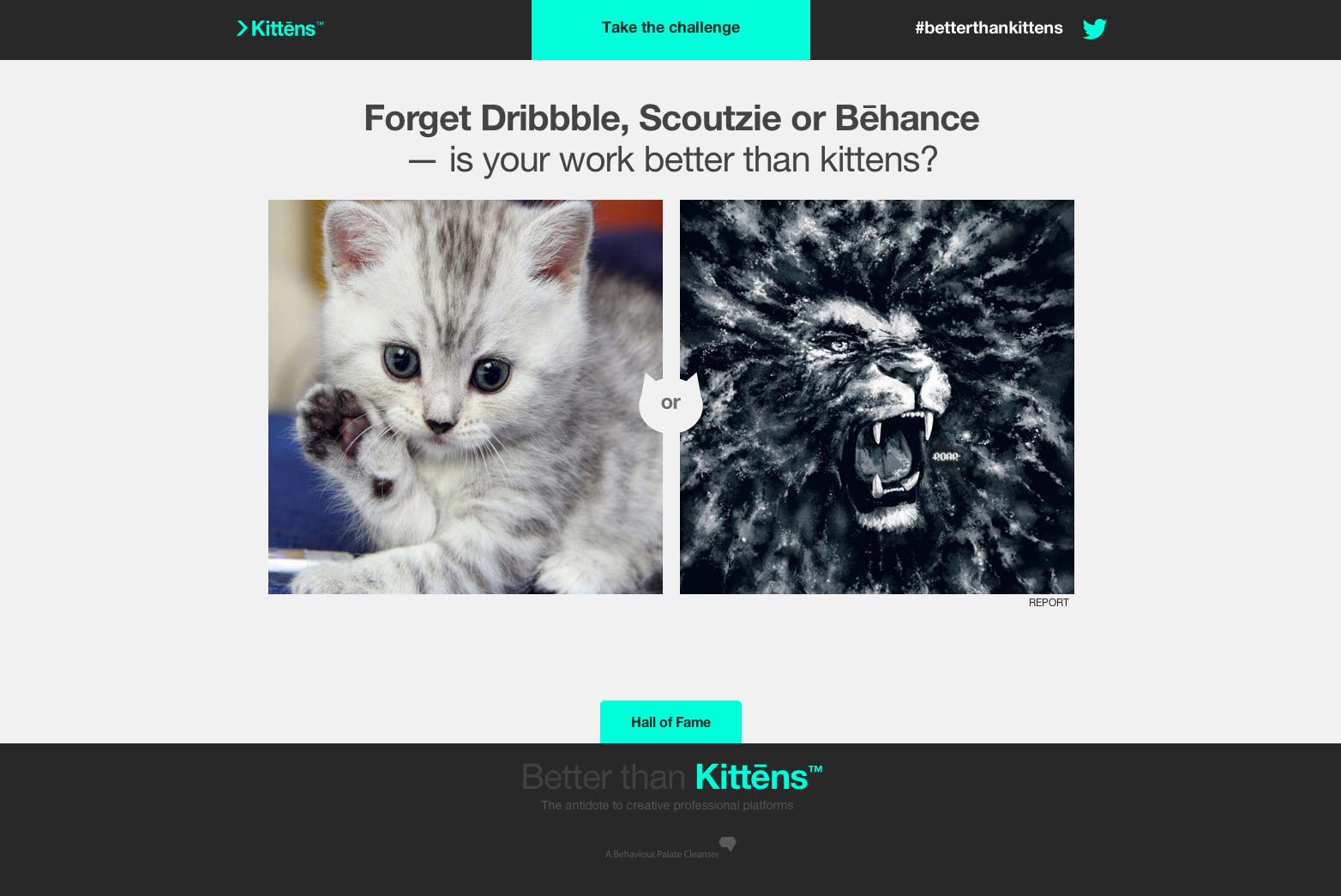 Are you better than kittens? kittens_001