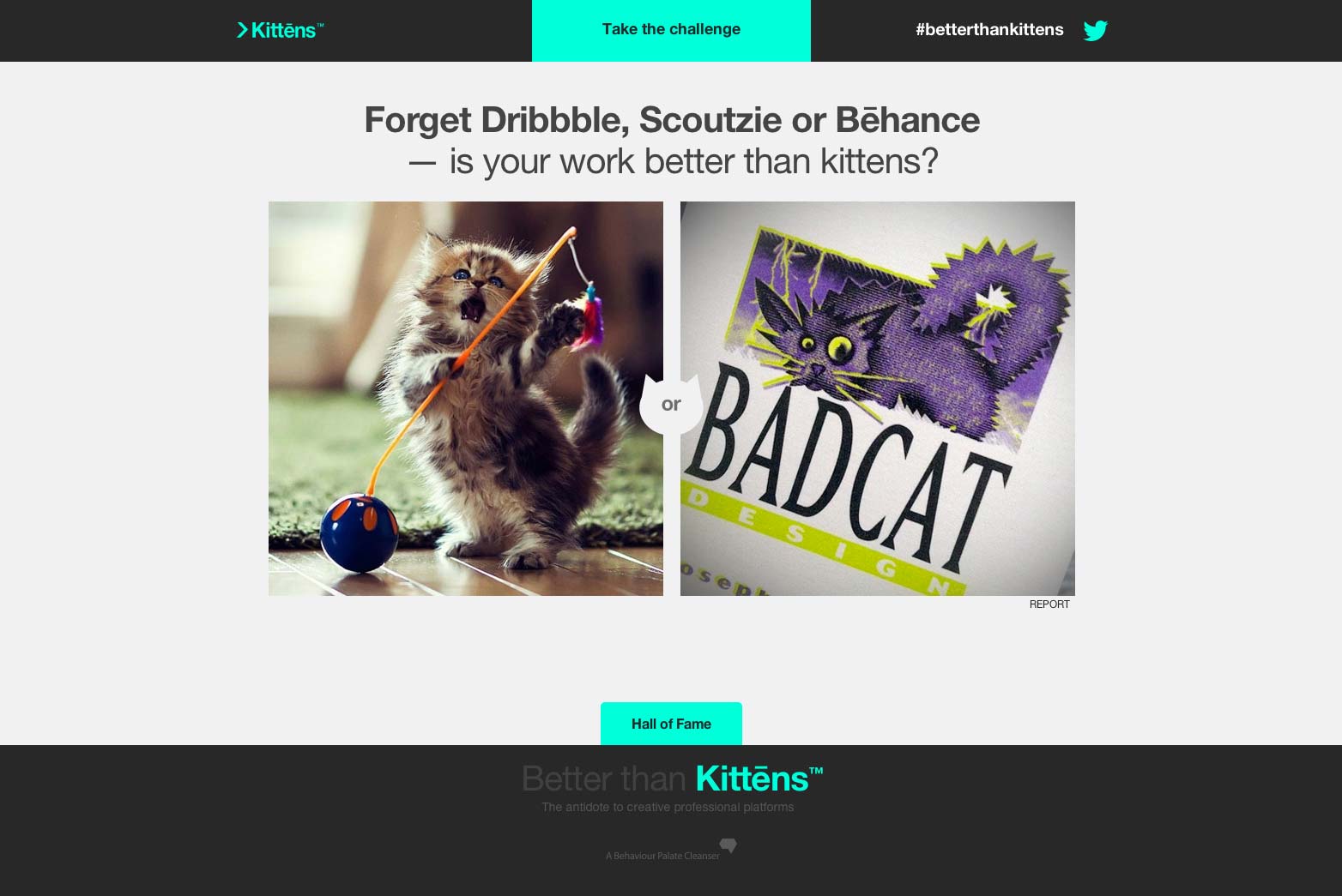 Are you better than kittens? kittens_002