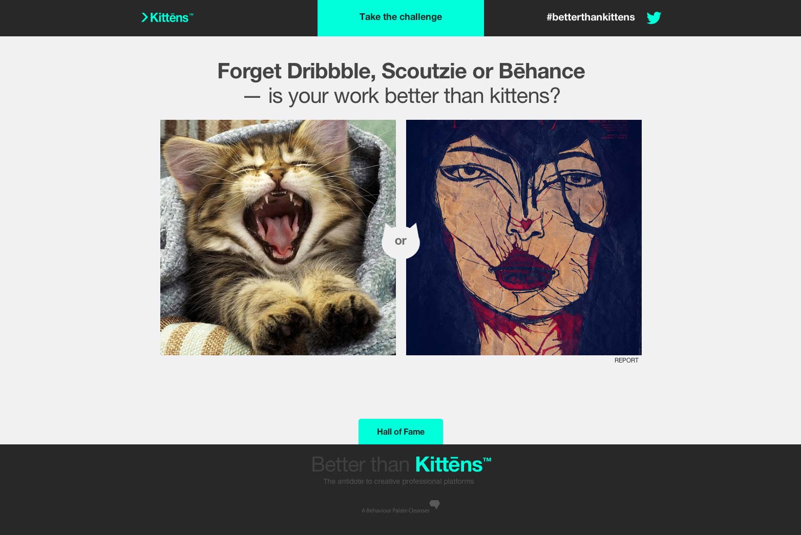 Are you better than kittens? kittens_003
