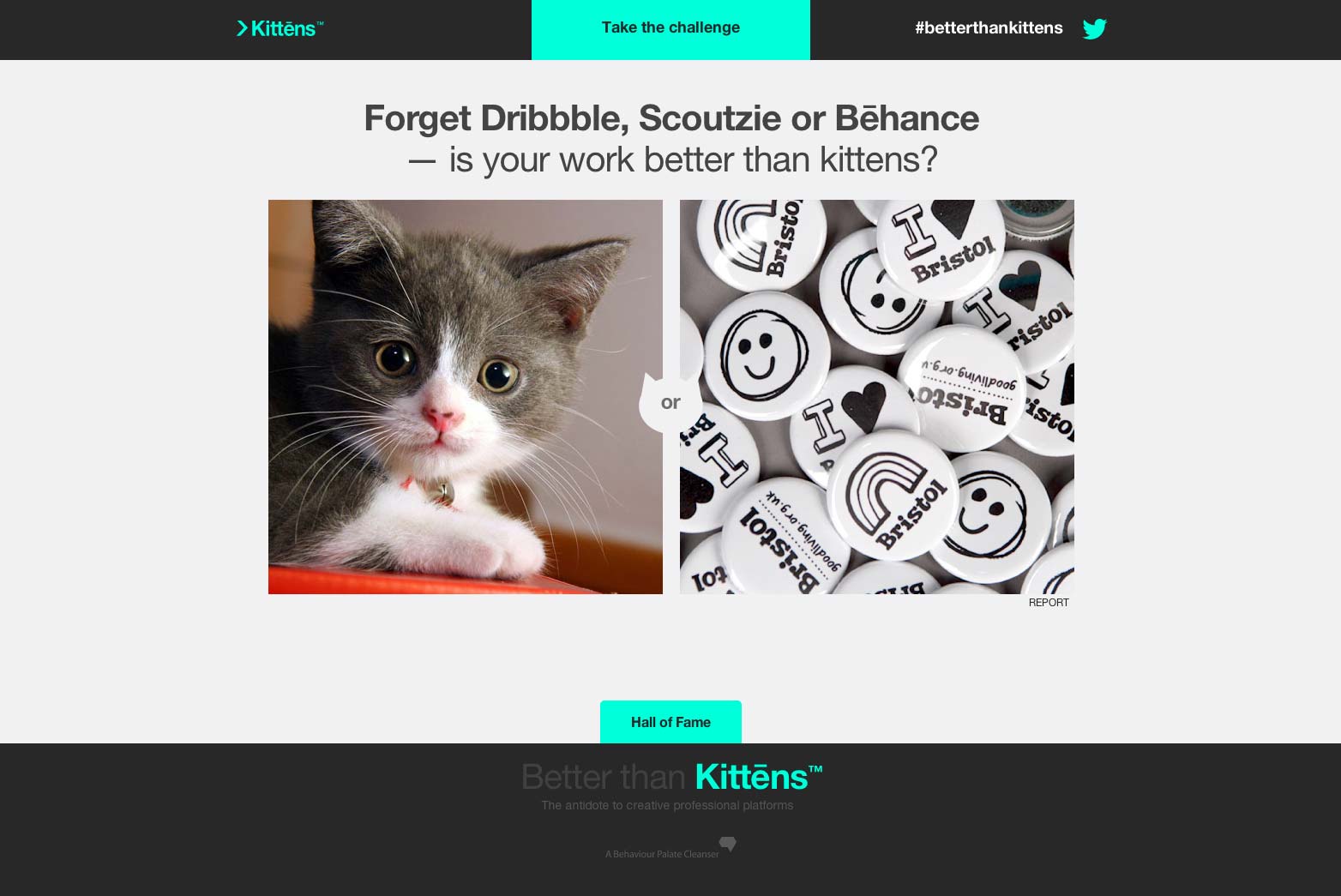 Are you better than kittens? kittens_004