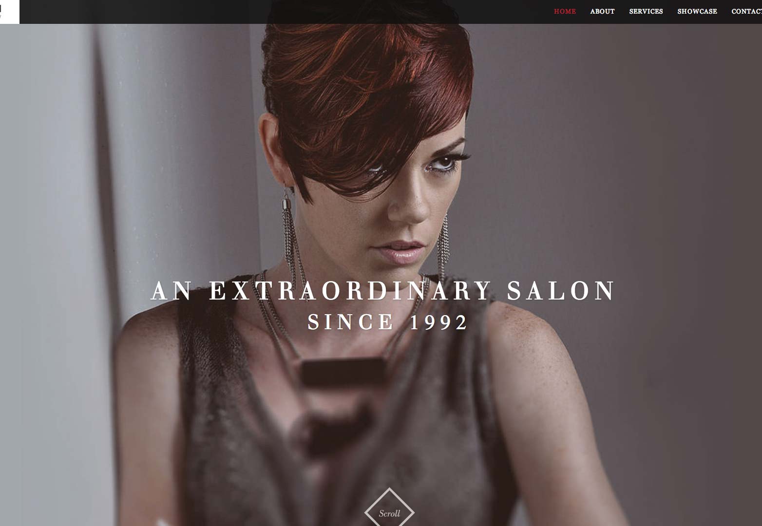30 one-page sites you'll wish you had built 1page-029