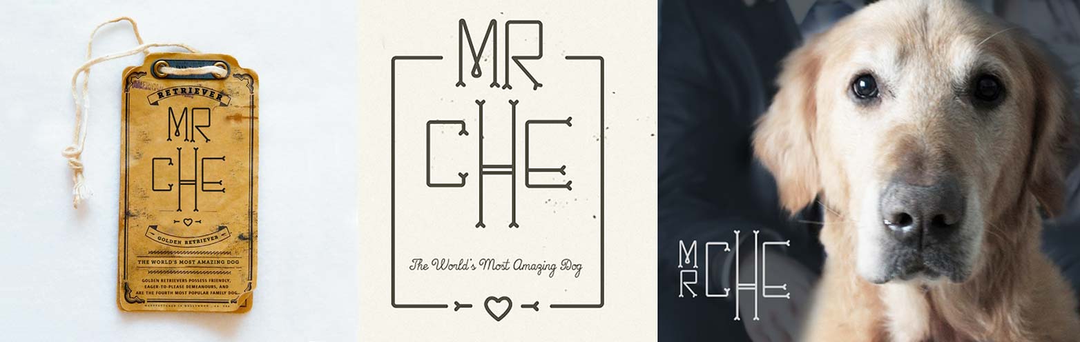 55 once-in-a-career typefaces 031