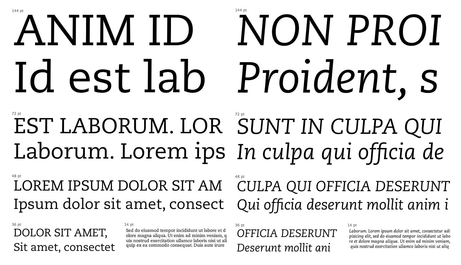 Perfect web typography with slab-serifs pmn_caecilia