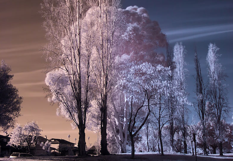 25+ must-have Photoshop actions for your toolkit infrared_photography