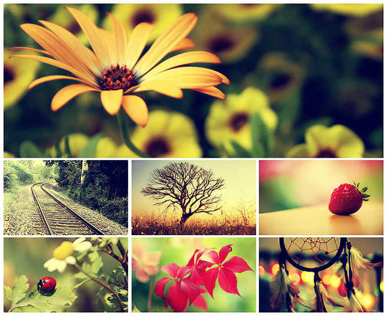 25+ must-have Photoshop actions for your toolkit abbey-road