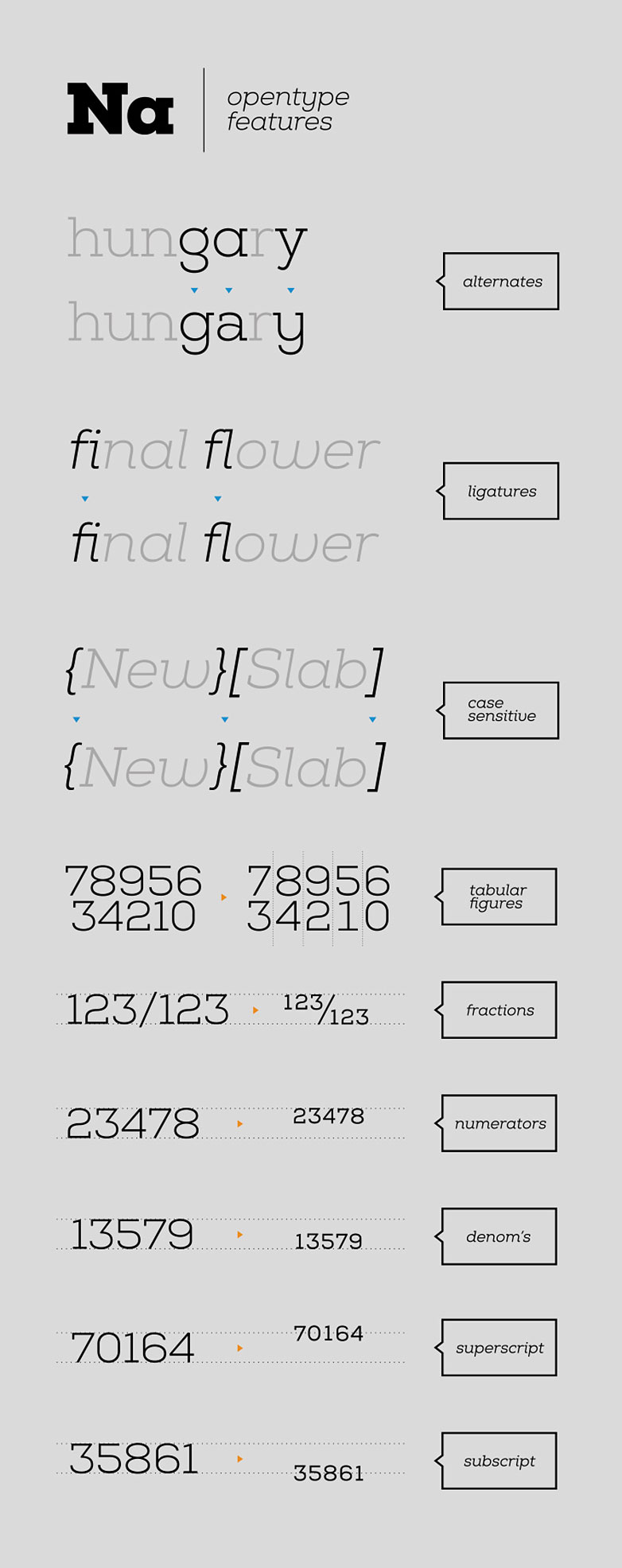 nexas_004