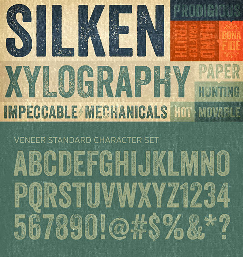 VeneerGraphic4