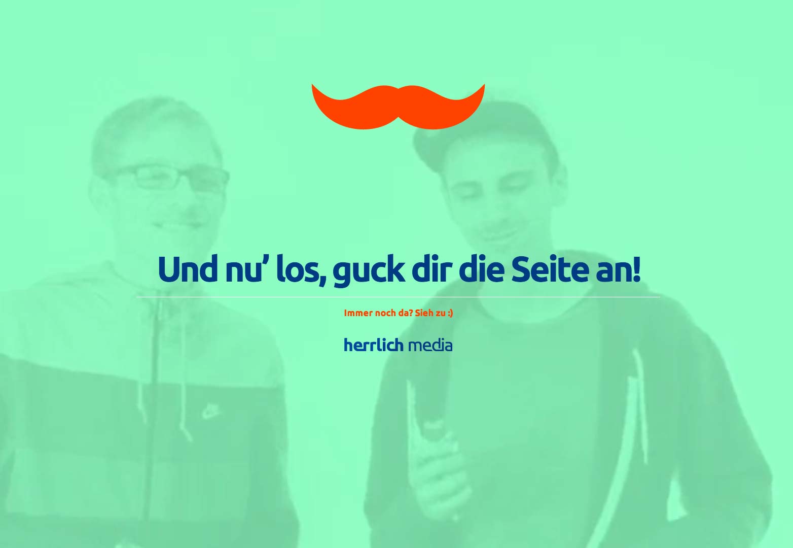 15 web sites with excellent UX 010_herrlich-media