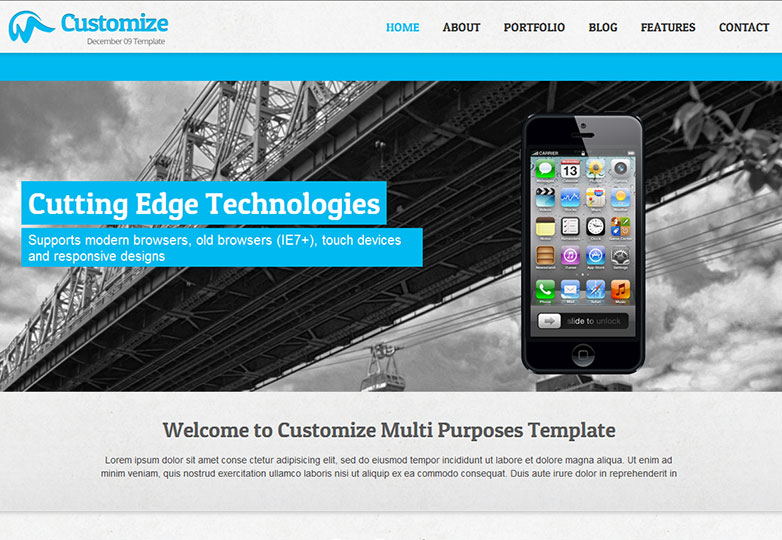 2-Customize Customize
