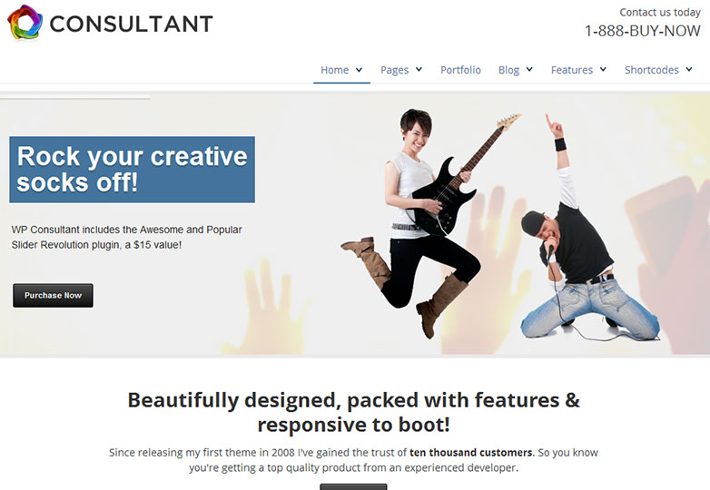 WP-Consultant 22. WP Consultant