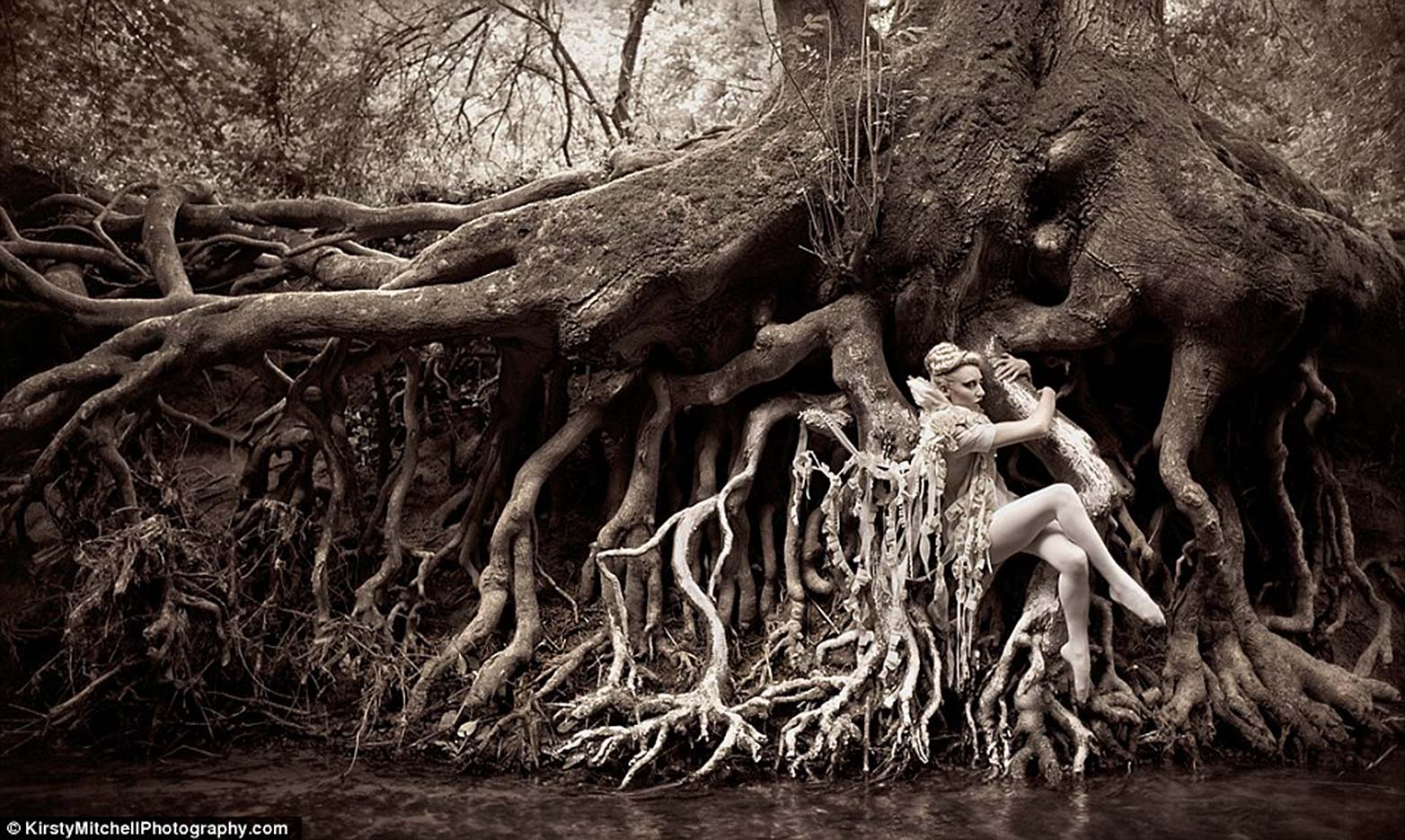 Fantastical fairytale photos f