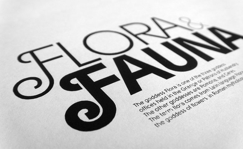 solomon005 Solomon font