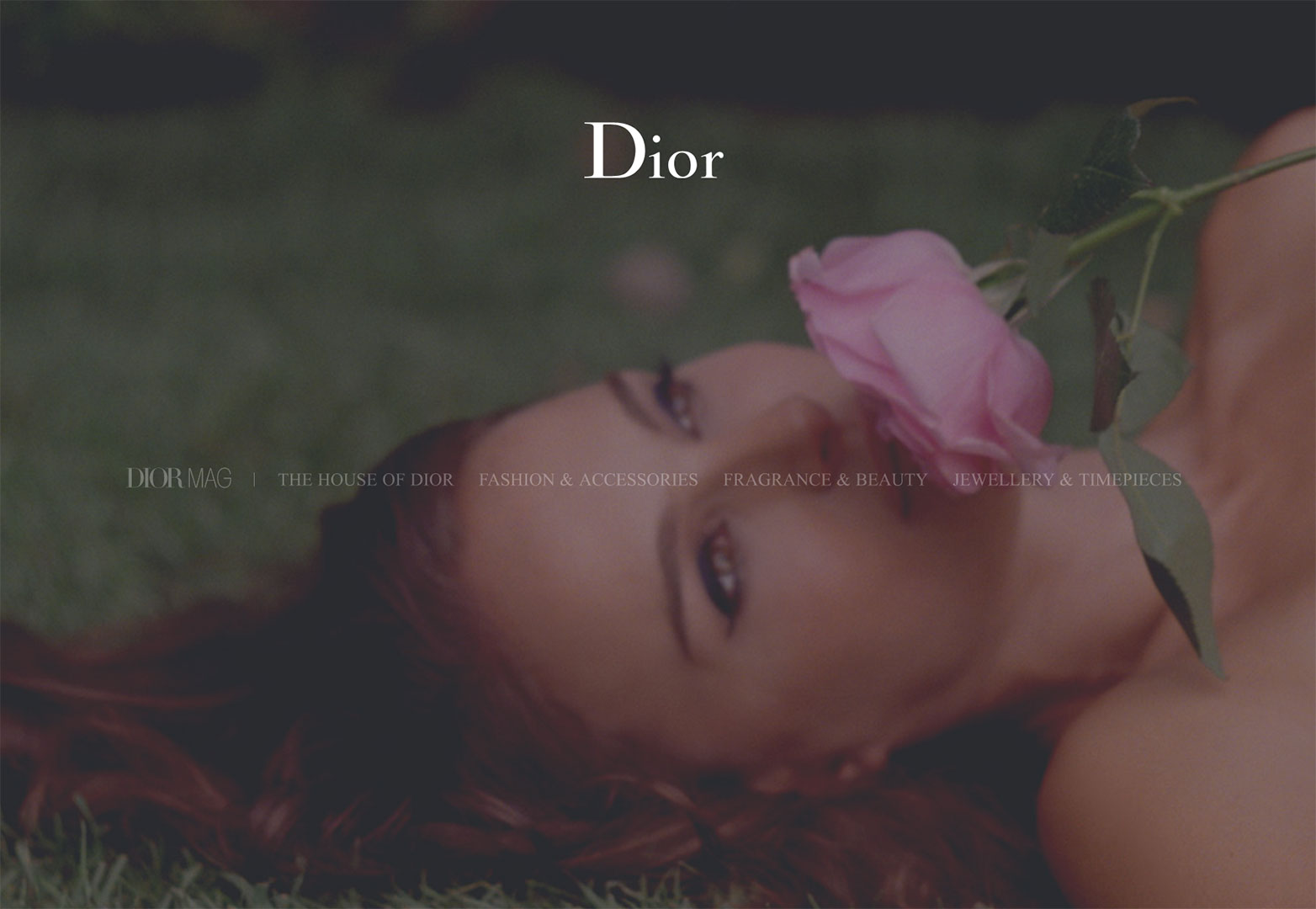 dior dior