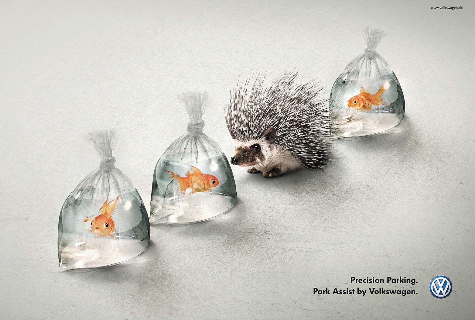 VW_hedgehog_fish VW Hedgehog
