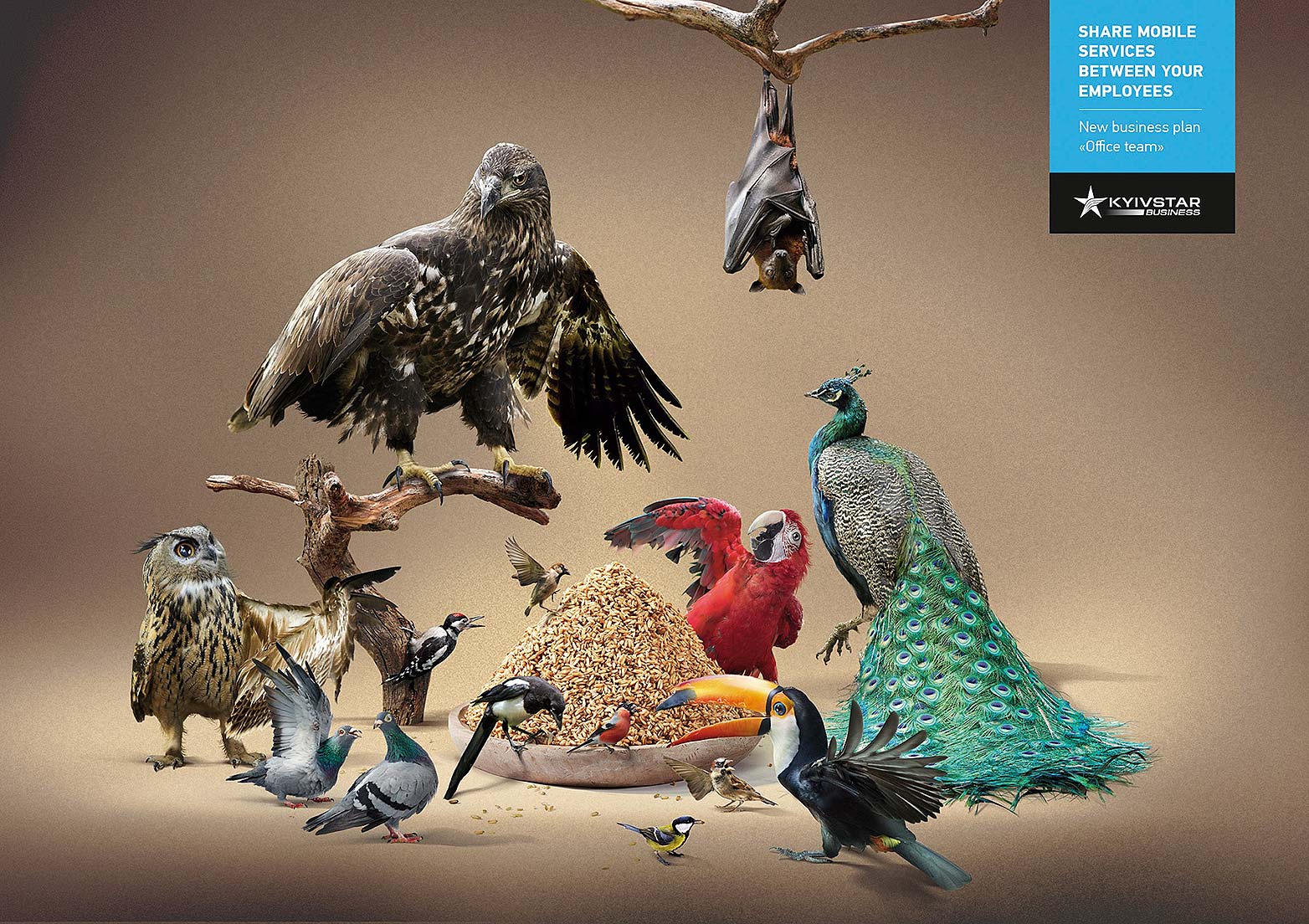 Kyivstar_Shared-birdfeeder Kyivstar