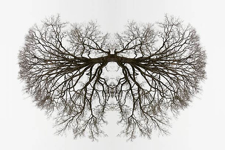 mirror1 mirror1