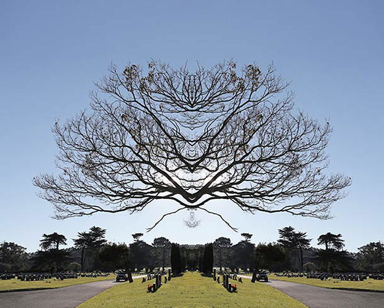 mirror9 mirror9