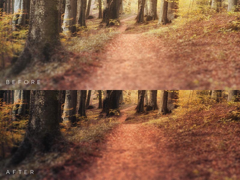autumn Autumn Actions