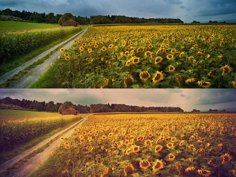 sunrise sunrise and sunset actions