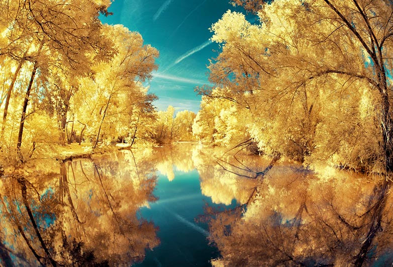 DK8 Infrared photo