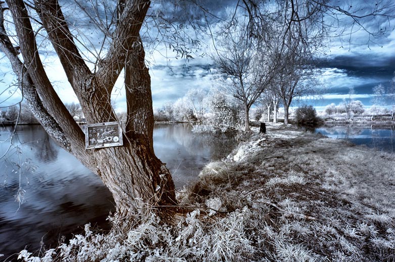 DK10 Infrared photo