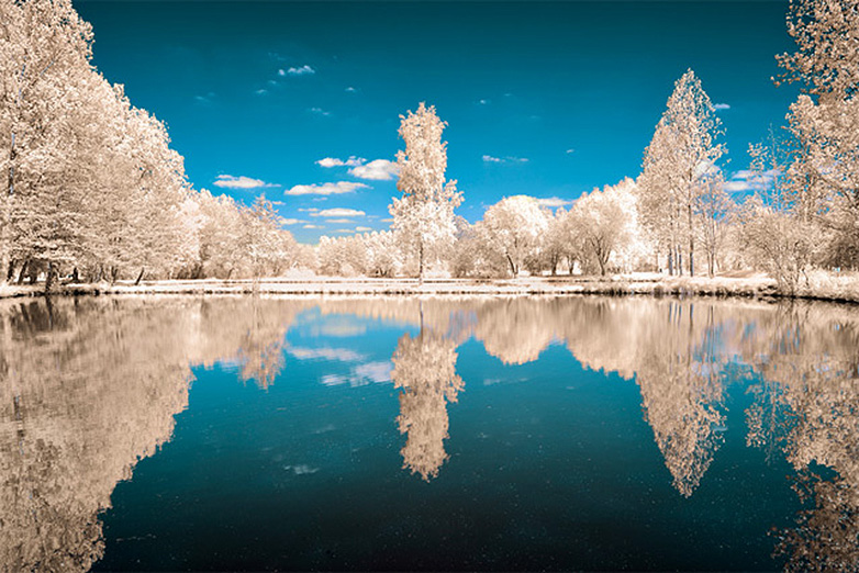 DK9 Infrared photo