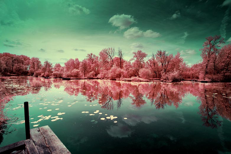 DK7 Infrared photo