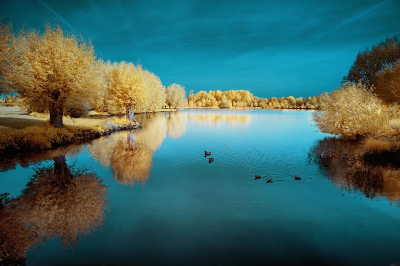 DK6 Infrared photo