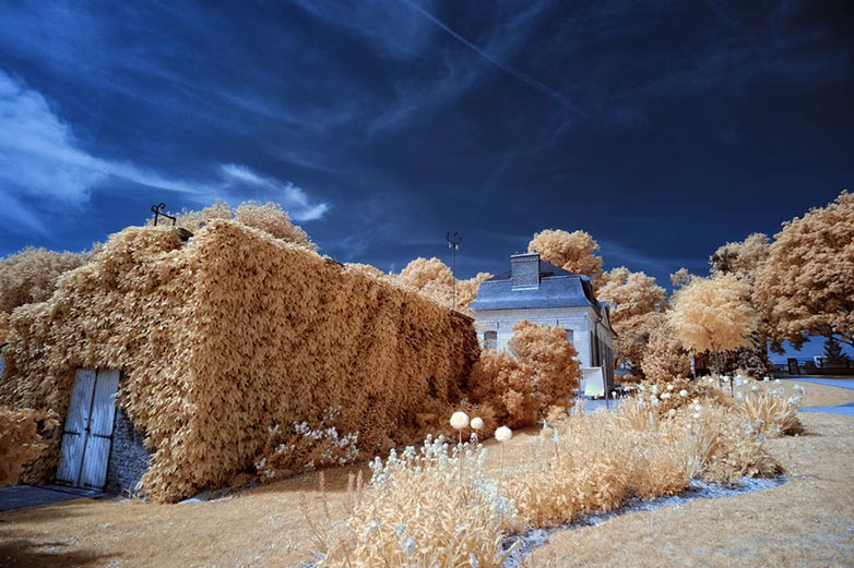 DK5 Infrared photo
