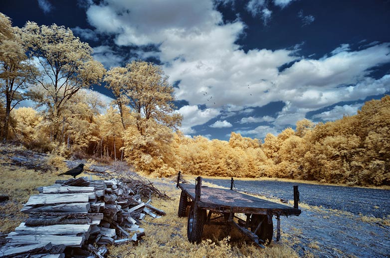 DK4 Infrared photo