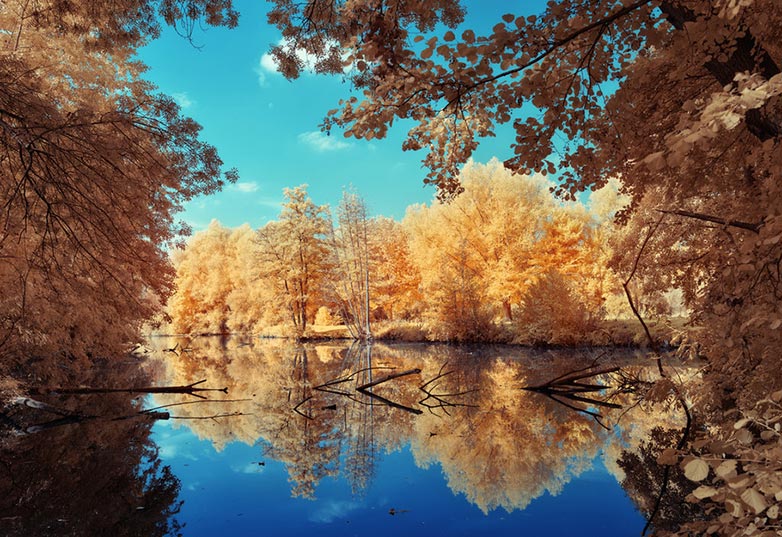 DK3 Infrared photo