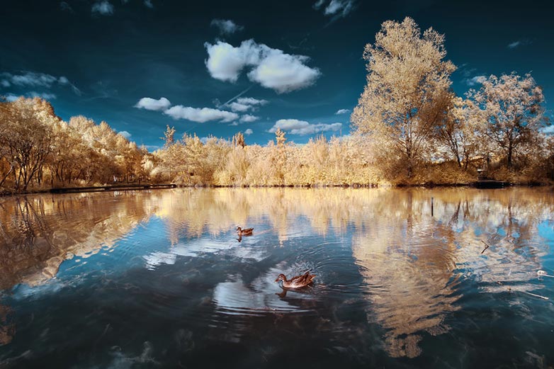 DK2 Infrared photo