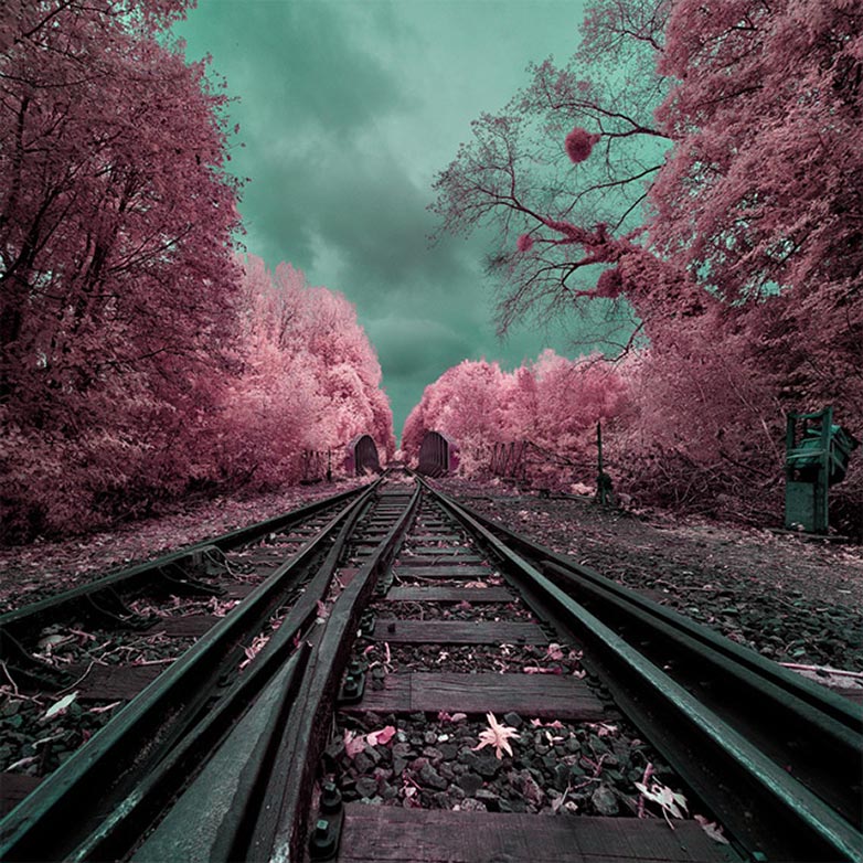 DK1 Infrared photo