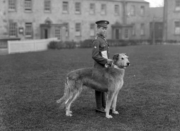 7092805033_8eae3482af_b Irish guard