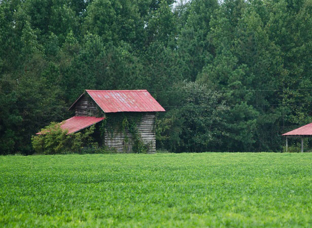 connectionspeed5 Rural America