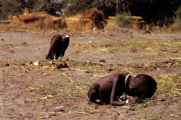 vulture.001 vulture.001