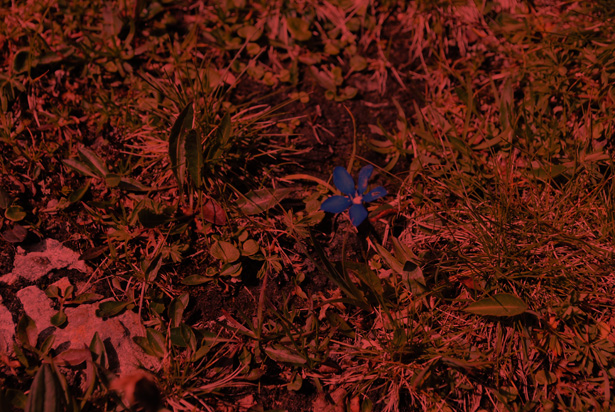 image15 image15 3