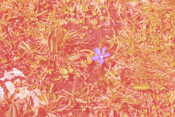 image21 image21 1