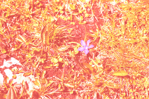 image24 image24 1