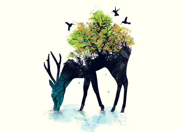 636x460design_01-1 636x460design 01 1