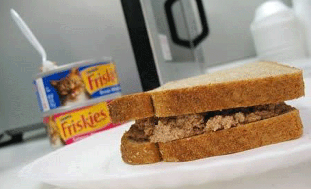 catfood catfood