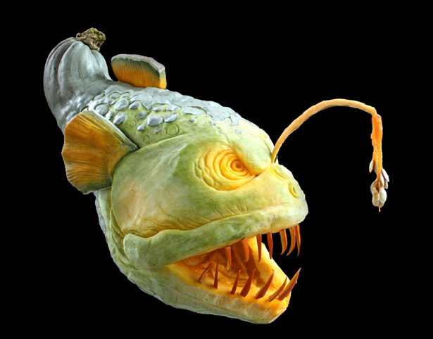 pumpkin pumpkin 1
