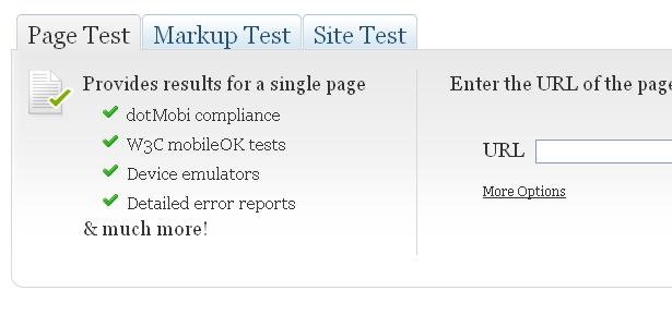 8 Popular online apps to test the mobile version of your site mobiReady 1