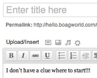 How to become a prolific blogger Blank WordPress post document